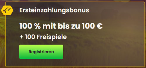 Bizzo Bonus
